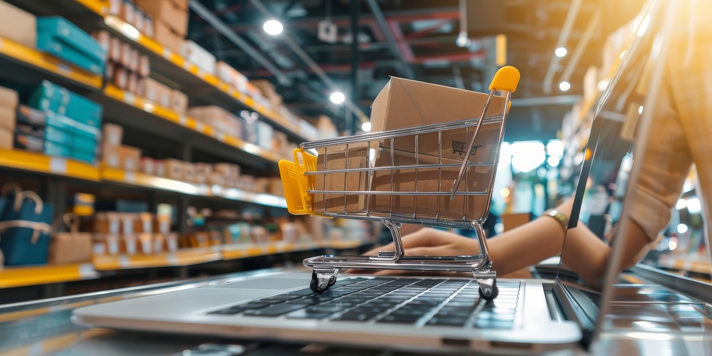 Tipo de E-commerce